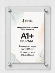 Акриловая настенная рамка «Ананас Постер» А1+ (664×911 мм)