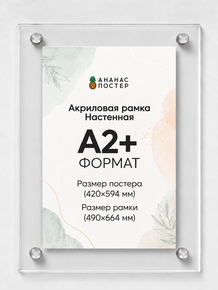 Акриловая настенная рамка «Ананас Постер» А2+ (490×664 мм)
