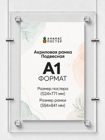 Акриловая подвесная рамка «Ананас Постер» А1 (594×841 мм)