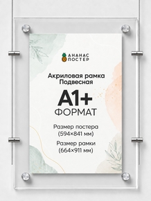 Акриловая подвесная рамка «Ананас Постер» А1+ (664×911 мм)