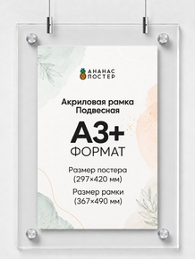 Акриловая подвесная рамка «Ананас Постер» А3+ (367×490 мм)