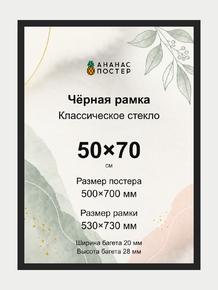 Чёрная рамка с классическим стеклом «Ананас Постер» 50×70 см Чёрная рамка с классическим стеклом «Ананас Постер» 50×70 см