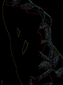 Bondage | Бондаж