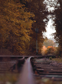 Fall | Осень