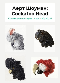 Aert Schouman (Коллекция постеров, 4 шт.): Cockatoo Head | Аерт Шоуман