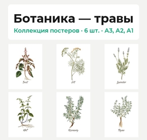 Ботаника — травы (Коллекция постеров, 6 шт.)