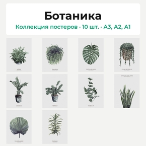 Botany (Коллекция постеров, 10 шт.) | Ботаника Botany (Коллекция постеров, 10 шт.) | Ботаника