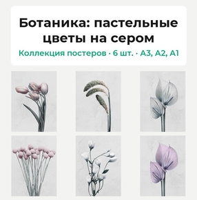 Botany (Коллекция постеров, 6 шт.): пастельные цветы на сером | Ботаника