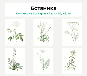 Botany (Коллекция постеров, 6 шт.) | Ботаника