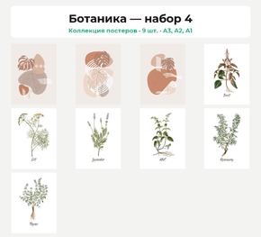 Botany (Коллекция постеров, 9 шт.) | Ботаника