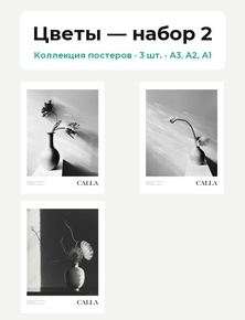Calla (Коллекция постеров, 3 шт.) | Цветы
