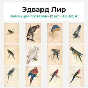Edward Lear (Коллекция постеров, 12 шт.) | Эдвард Лир