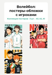 Haikyuu (Коллекция постеров, 3 шт.): постеры-обложки с игроками | Волейбол