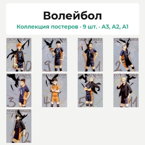 Haikyuu (Коллекция постеров, 9 шт.) | Волейбол