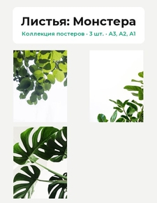 Листья (Коллекция постеров, 3 шт.): Монстера