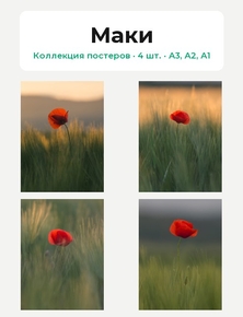 Маки (Коллекция постеров, 4 шт.)