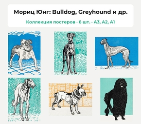 Moriz Jung (Коллекция постеров, 6 шт.) | Мориц Юнг