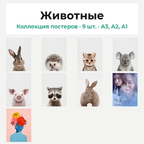 Животные (Коллекция постеров, 9 шт.)
