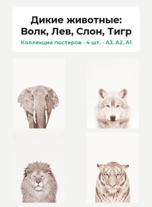 Дикие животные (Коллекция постеров, 4 шт.): Волк, Лев, Слон, Тигр