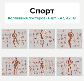 Спорт (Коллекция постеров, 6 шт.)