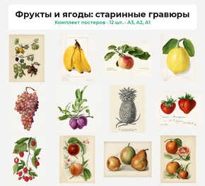 Комплект постеров «Фрукты и ягоды: старинные гравюры», 12 шт.