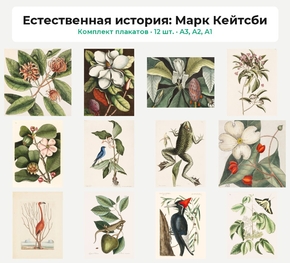 Комплект плакатов «Естественная история: Марк Кейтсби», 12 шт.