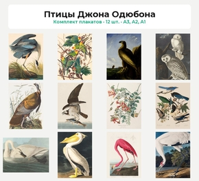 Комплект плакатов «Птицы Джона Одюбона», 12 шт.