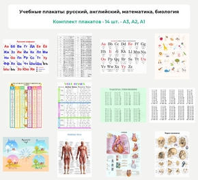 Комплект плакатов «Учебные плакаты: русский, английский, математика, биология», 14 шт.