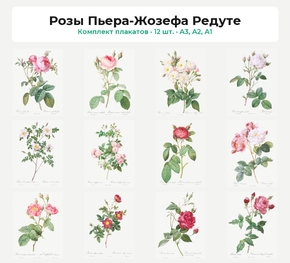 Комплект плакатов «Розы Пьера-Жозефа Редуте», 12 шт.