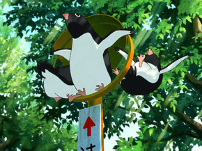 Penguin Highway | Тайная жизнь пингвинов
