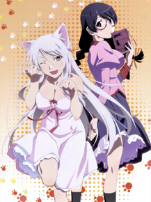 Bakemonogatari - Tsubasa Hanekawa | Истории монстров - Цубаса Ханэкава