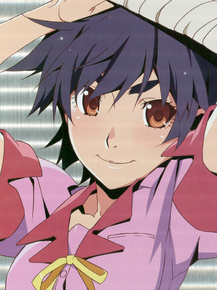 Bakemonogatari (Коллекция постеров №2) - Hitagi Senjougahara | Истории монстров