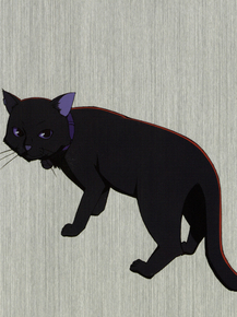 Darker than Black (Коллекция постеров №2) - Mao | Темнее чёрного - Мао