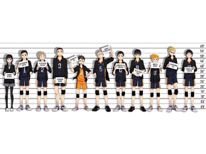 Haikyuu | Волейбол