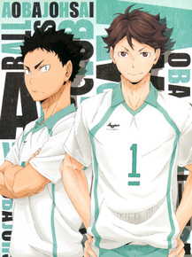 Haikyuu (Коллекция постеров) | Волейбол