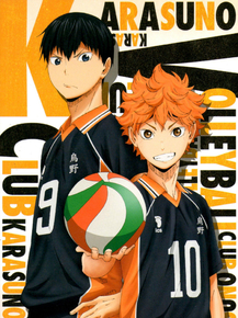 Haikyuu (Коллекция постеров) | Волейбол