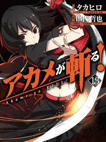 Akame ga Kill (Коллекция постеров) | Убийца Акамэ