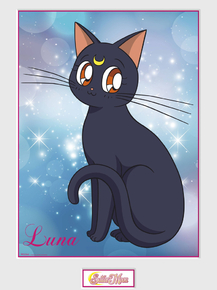 Sailor Moon | Сейлор Мун: Луна Sailor Moon | Сейлор Мун: Луна
