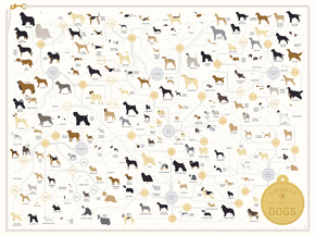 Diagram of dogs | Диаграмма собак