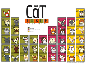 Cat: Table | Таблица Кошек