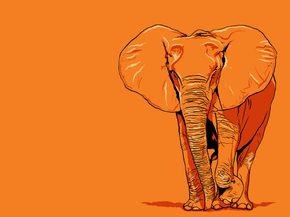 Elephant | Слон