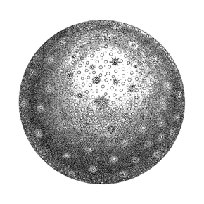 Moon | Луна