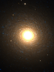 Galaxy NGC 7217 | Галактика