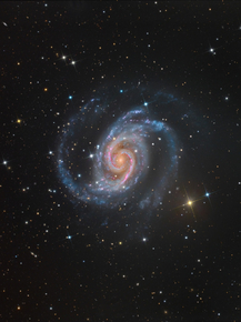 Galaxy NGC 1566 | Галактика