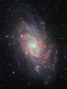 Triangulum Galaxy | Галактика Треугольника
