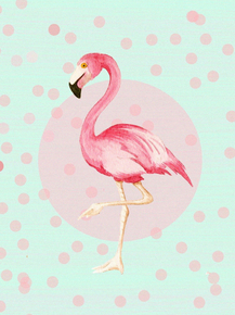Flamingo | Фламинго