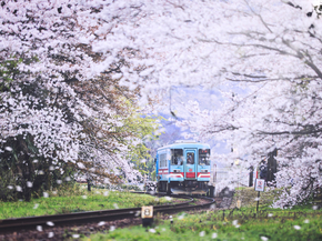 Train | Поезд