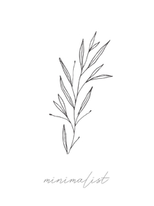 Minimalism Botany | Минимализм Ботаника
