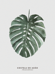 Botany (Коллекция постеров №2) | Ботаника