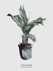 Botany (Коллекция постеров №2) | Ботаника